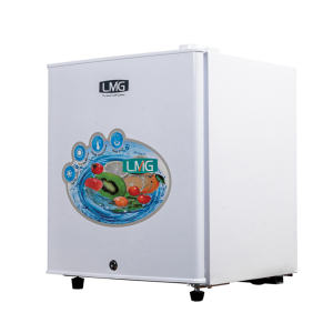 LMG Mini Refrigerator